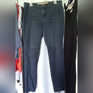 🌠 #113 Nine West Dark Wash Denim Jeggings w/ Seaming Details